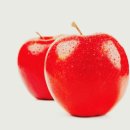 무주반디농장 이미지