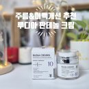 데일리 | 루디아 크라운 판테놀 크림 속건조 잡는 데일리 보습 후기