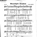 Mike Oldfield / Moonlight shadow 이미지