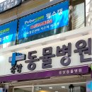 대한동물병원 이미지