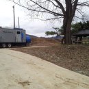 소야 솔밭 이미지