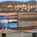 님 바래기 이미지