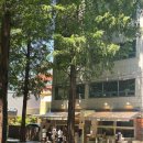 마누 | 양재 마누테라스 런치세트 내돈내산 후기 이찬오 셰프 식당 주말 데이트 코스로 추천