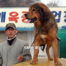 오수(완주) 이미지