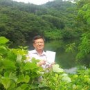 온곡제 Daum카페