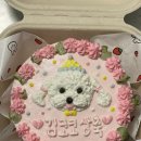 하비몽몽 이미지