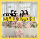 놀스튜디오 - 화성시 동탄순환대로12길 12 | 수원 브라이덜샤워 파티룸 대여 드레스 무제한 리보나 스튜디오 후기