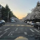 광양쌍용써비스프라자 네이버블로그