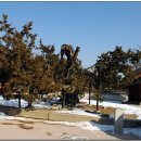 종로-종로-종로-종-314 이미지