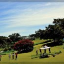 🏌️‍♀️ 사랑도 샷도 한 팀! 부부 포섬 전국 파크골프대회 개최 (2025.05.06)