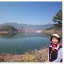 버드실샘 이미지