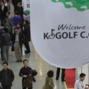 2013 KOGOLF (한국골프종합전시회) 이미지