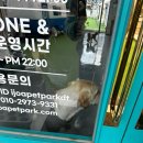 아이조아요양보호소 동탄점 | 안락사없는 강아지 고양이 보호소-아이조아 동탄