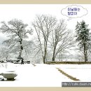 김씨구멍가게