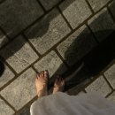 탑노래광장 네이버블로그