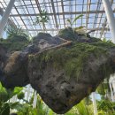 국립세종도서관 버스정류장 | 국립세종수목원과 국립세종도서관 방문후기