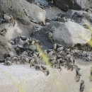 파주착한펜션 이미지