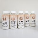 입터짐방지! 아침대용쉐이크 추천 | 굿모닝 오트밀 마시는오트밀 후기🌞