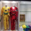 SK2차 스탈릿 백호 태권도장 이미지