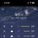 다음주 제주 놀러가려고 했는데 이미지