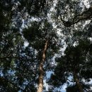 응달농장 이미지