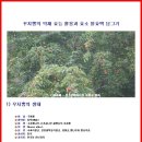 꾸지뽕의 약재 효능 활용과 효소 발효액 담그기 (항암,면역력강화,혈관정화,신장기능강화) 이미지