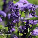 오늘의숲 이미지