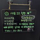 새솔점핑다이어트