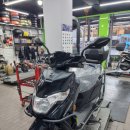 포도모터스 이미지