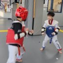 정음태권도 이미지