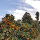 미성민박 이미지