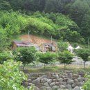 가곡초등학교 이미지