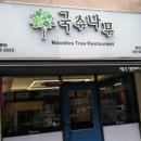 국수나무1 이미지