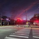 김창겸 | 241002 광양-린츠 국제미디어아트 교류전 개막식 관람 후기(8637 from Light)