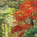 별밤차박캠핑장 이미지