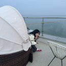 김지량 | #열일곱 번째, 안녕하세요 20학번 강명은입니다.