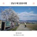 구례북중학교 | 살랑살랑 봄바람 불기 시작하면 역시 구례지, 1박2일 봄꽃여행