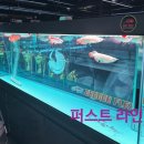 금용농장 | 아로와나&#39;원레드&#39;드래곤플렉스_ 방문후기