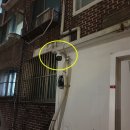 만두네 애견미용실 이미지