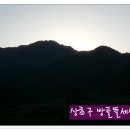 해뜰농장 이미지