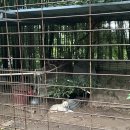 대나무집 민박 이미지