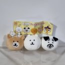 가챠콩 | 내돈내산, 나가노 캐릭터즈 농담곰 모치루 모찌 페이스 마스코트 키링 가챠 실물 후기 2탄