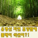유씨오마케팅그룹(주) 이미지