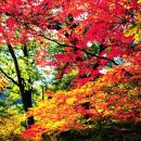 산하의물결 이미지