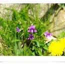 글레이드펜션 이미지