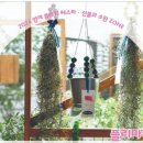 난과뜨락 이미지