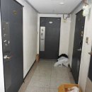 용산-216 이미지