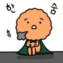 티아이티에프 이미지