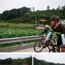 척동제 이미지