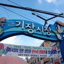 춘이농장 이미지